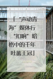 “声动青海”媒体行“扣响”暗格中的千年吐蕃王冠